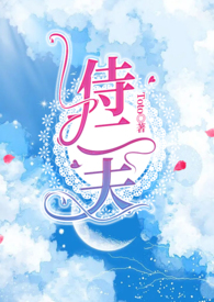 十二符咒的能力